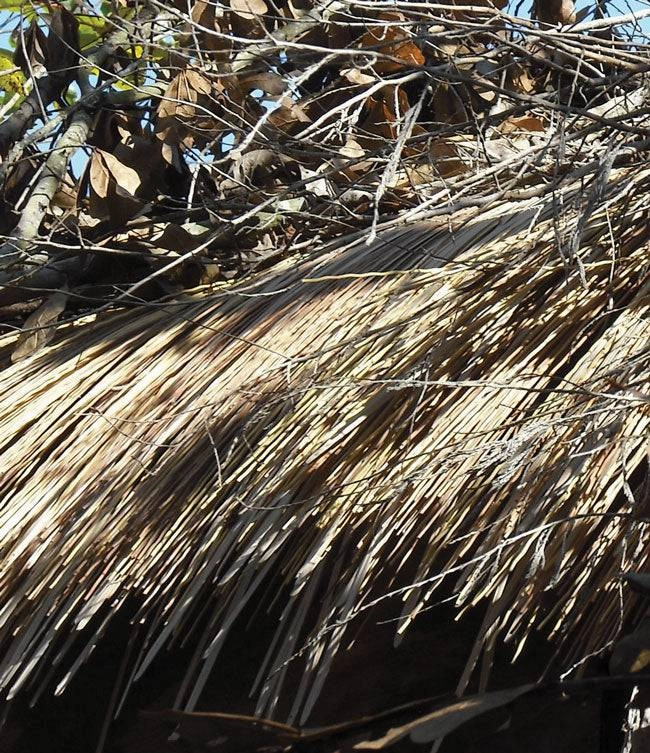 Speed Reed Camo Netting